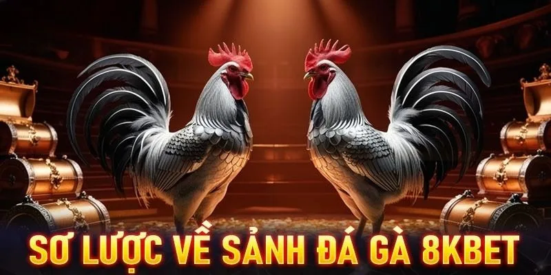 Giới thiệu sảnh đá gà 8KBET