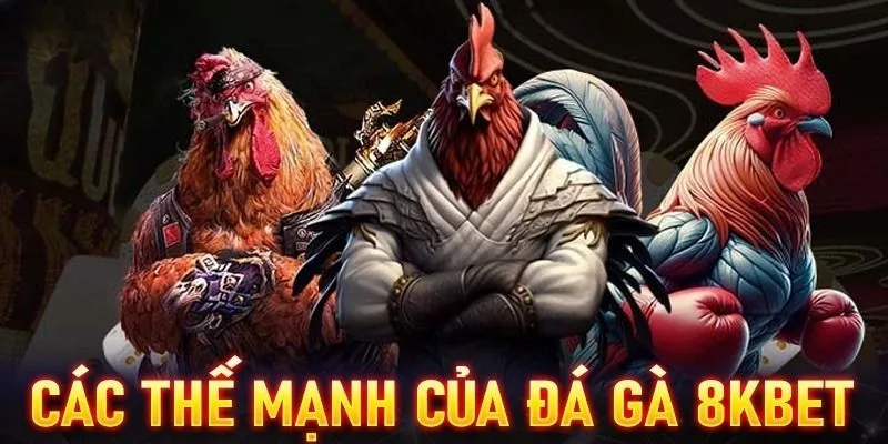 Điểm mạnh của sảnh đá gà 8KBET